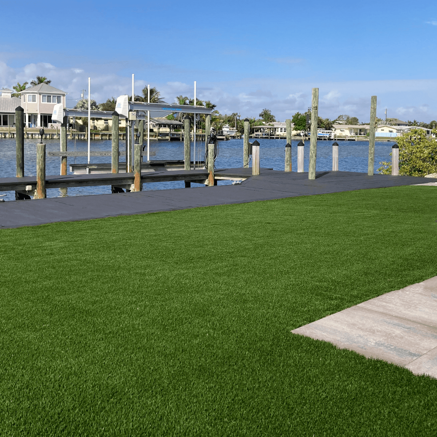 EverHue Outdoor Pet Turf