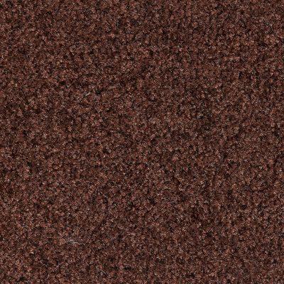 Ultra Tuft Carpet Entrance Mats